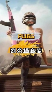 如何選擇絕地求生輔助網(wǎng)站才是獲得良好游戲體驗的關(guān)鍵