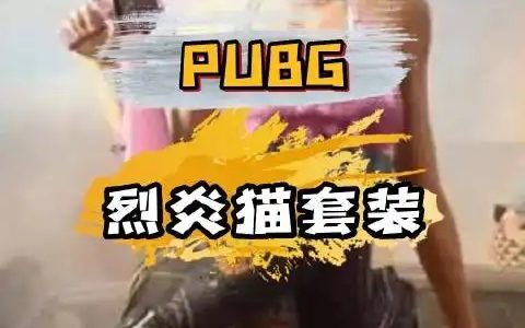 如何選擇絕地求生輔助網(wǎng)站才是獲得良好游戲體驗(yàn)的關(guān)鍵