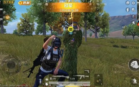 絕地求生下飯輔助哪里買？根據自身的情況選擇適合的途徑購買
