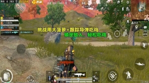 絕地求生外國輔助哪個受歡迎？主要看什么性能？