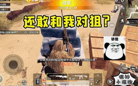 絕地求生太陽神輔助在使用過程中的注意事項都有什么？