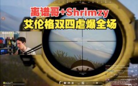 絕地求生手游輔助平臺,絕地求生手游輔助平臺，游戲公平性的雙刃劍