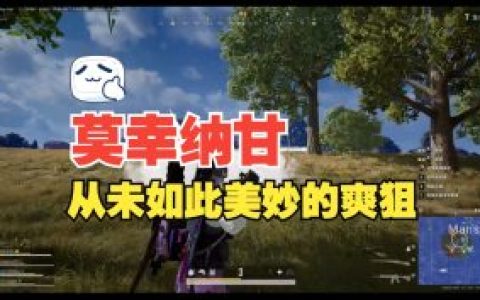 絕地求生快捷射擊輔助制作,探索與爭議，絕地求生快捷射擊輔助制作的雙面鏡